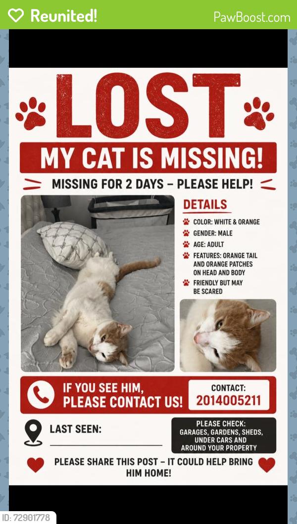 Reunited Male Cat last seen Near Marts lane pine Brook , Montville, NJ 07058