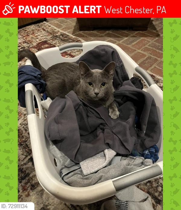 Found/Stray Male Cat last seen Boot and Green Hll Roads, West Chester, PA 19380
