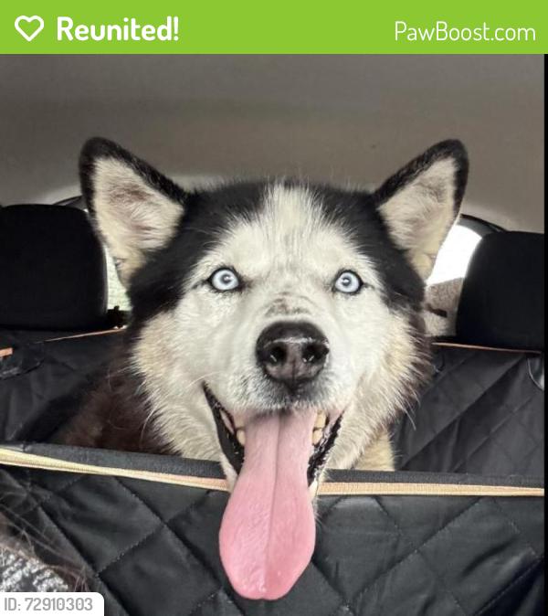 Reunited Male Dog last seen Rivara Road, Stockton, CA 95207
