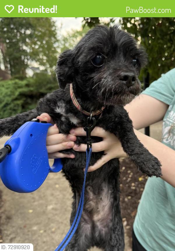 Reunited Male Dog last seen Cobblestone Drive & Sugar Ridge Rd, Inman, SC 29349