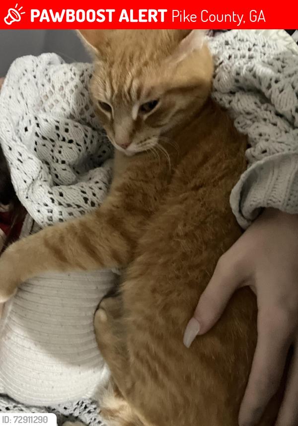 Lost Male Cat last seen BND ceramics LLC, Pike County, GA 30256