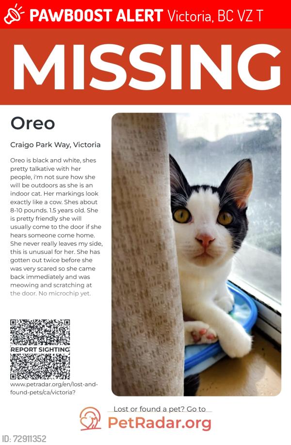 Lost Female Cat last seen Lodi avenue & craigo parkway, Victoria, BC V8Z 6T3