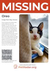 Lost Female Cat last seen Lodi avenue & craigo parkway, Victoria, BC V8Z 6T3