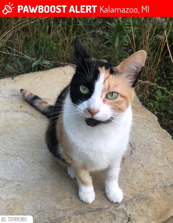 Lost Female Cat last seen By the Prarie Crossing Neighborhood, Kalamazoo, MI 49004