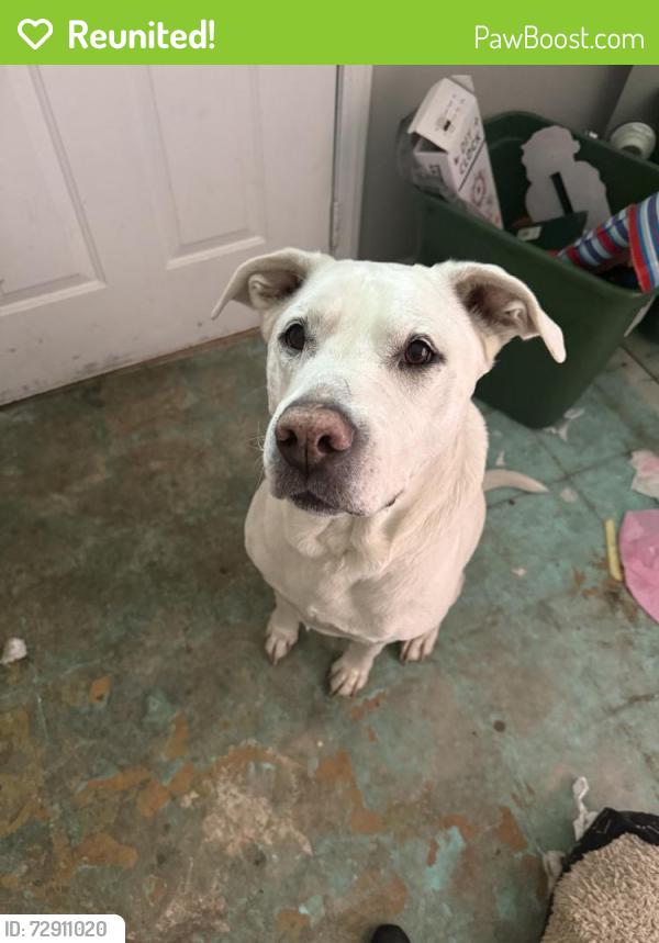 Reunited Male Dog last seen Carson Heights, Indianapolis, IN, USA, Indianapolis, IN 46227