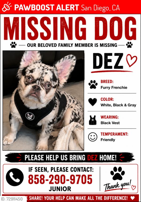 Lost Male Dog last seen Near w San Ysidro blvd , San Diego, CA 92173