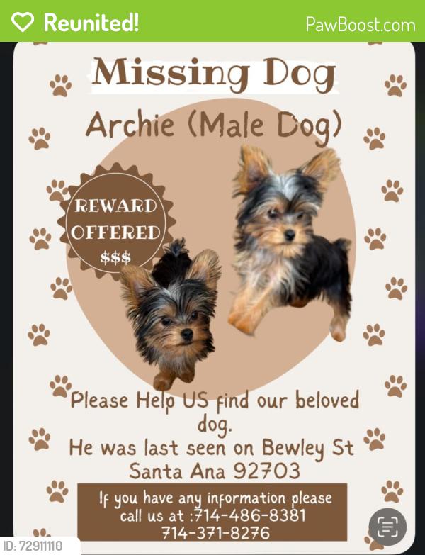 Reunited Male Dog last seen Harbor & first , Santa Ana, CA 92703