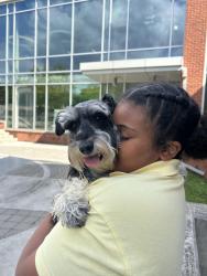 Reunited Male Dog last seen Reservoir street, Baltimore, MD 21217