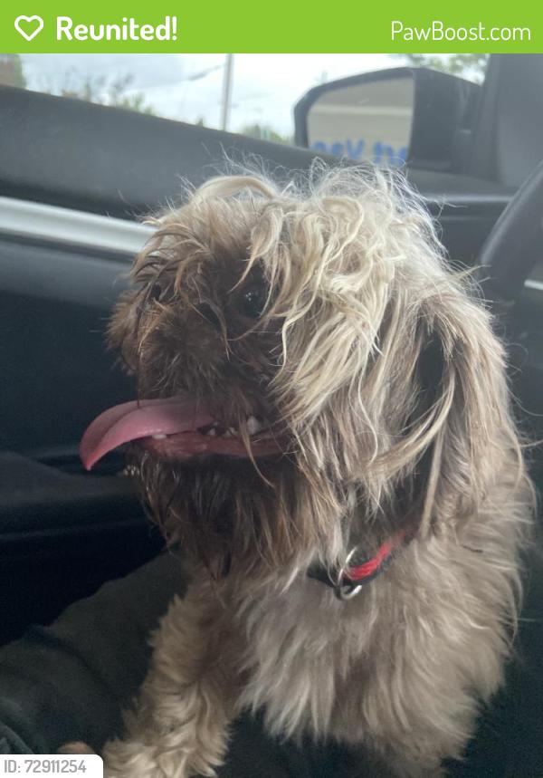 Reunited Male Dog last seen Welchlawn Cove, Memphis, TN 38134, USA, Memphis, TN 38134