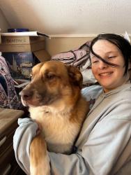 Lost Male Dog last seen Vineyard Ave and Turney, Cleveland, OH 44105