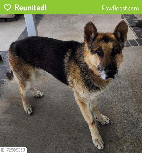 Reunited Male Dog last seen Valley & Citrus, Fontana, CA 92335