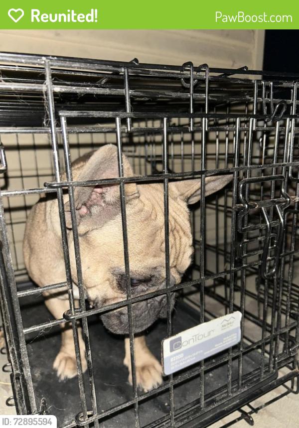 Reunited Female Dog last seen Sutter, Vallejo, CA 94590