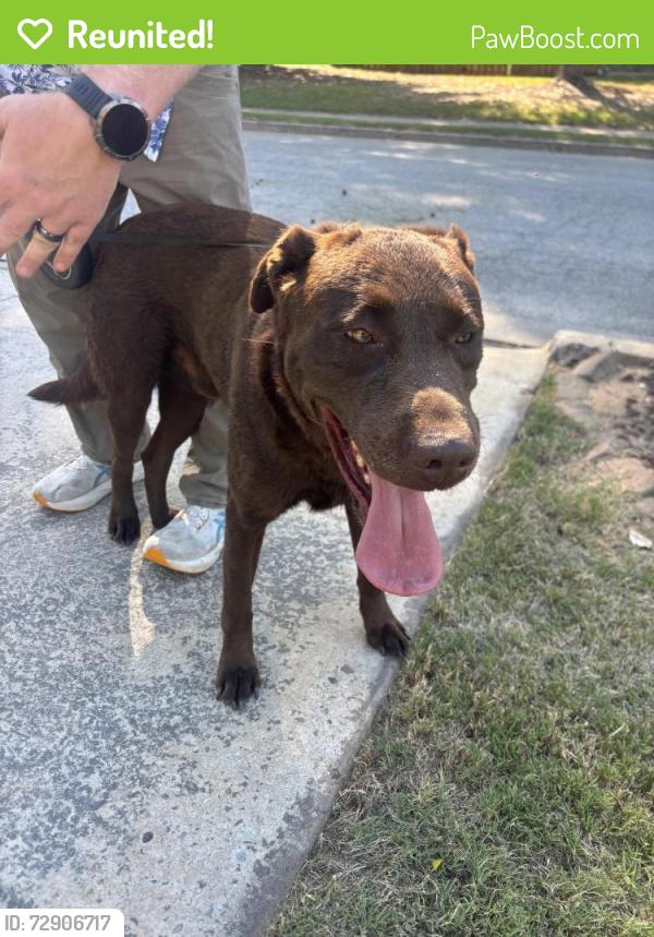 Reunited Male Dog last seen Sumter landing circle and conn drive, Evans, GA 30809