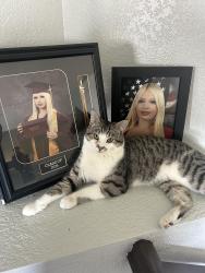 Lost Male Cat last seen Fairhaven Dr, Riverside, CA 92505