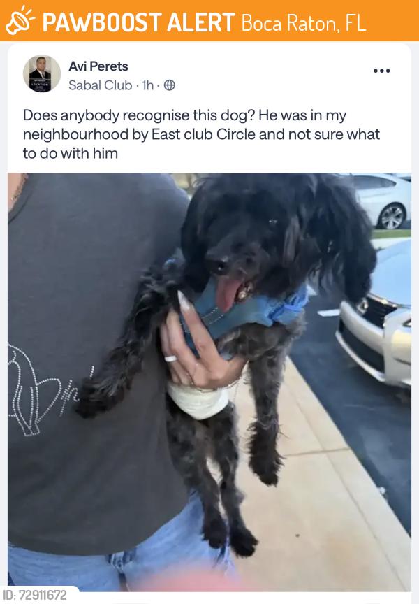 Found/Stray Male Dog last seen Dog found Yamato and 2nd Ave Boca Raton Blvd, Boca Raton, FL 33431