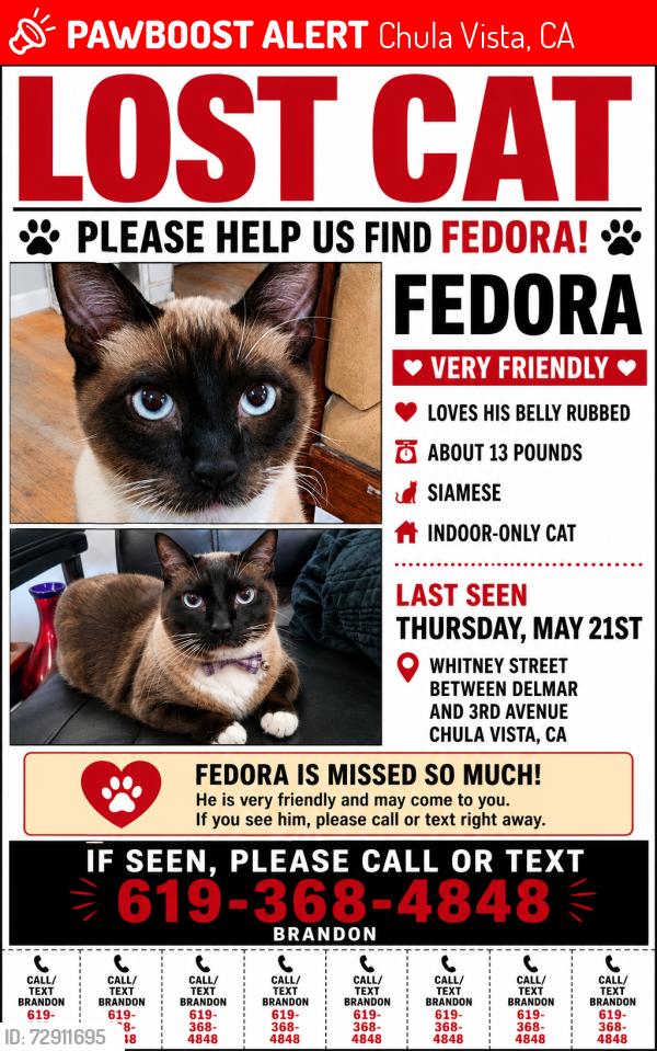 Lost Male Cat last seen Whitney street between 3rd and delmar, Chula Vista, CA 91910