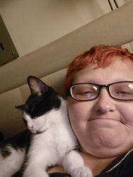 Lost Male Cat last seen Niagara , Cincinnati, OH 45251