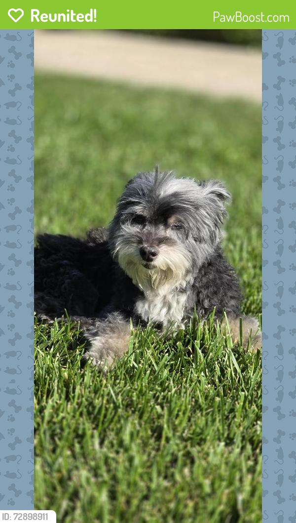 Reunited Female Dog last seen Tam-O-Shanter & Sutherland Dr., Stockton, CA 95210