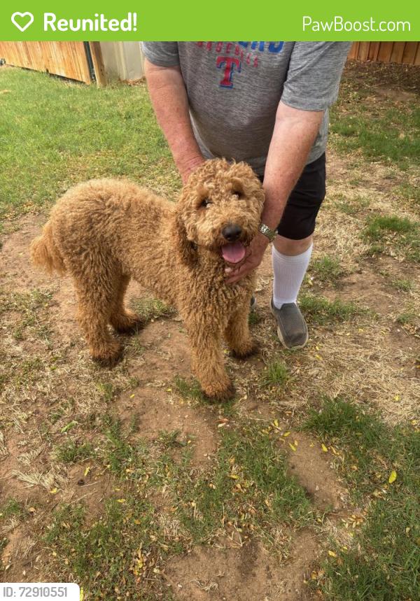Reunited Unknown Dog last seen 62nd and Frankford , Lubbock, TX 79424