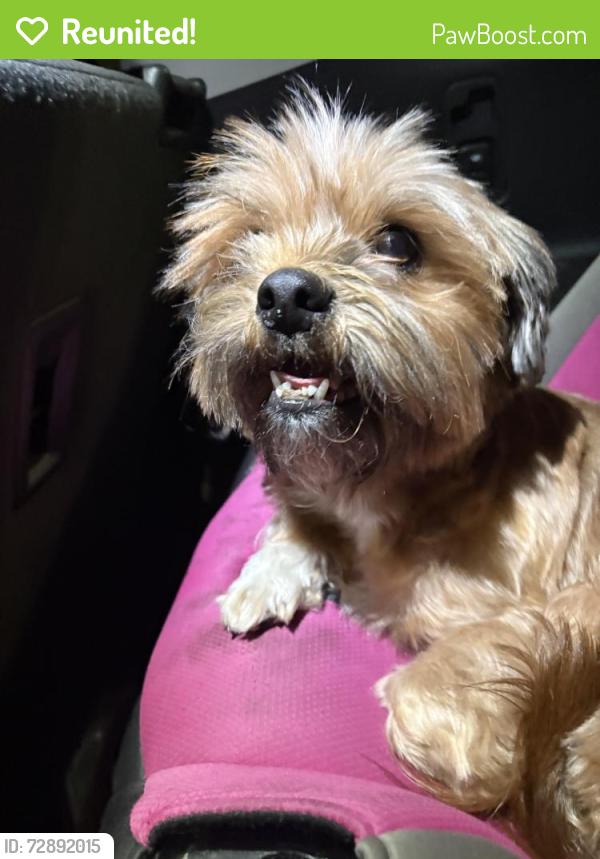 Reunited Female Dog last seen Darkwood drive , Houston, TX 77088