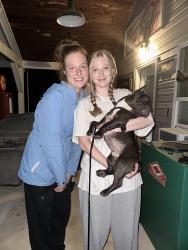 Reunited Male Dog last seen Saginaw and University Dr. , Collegedale, TN 37363