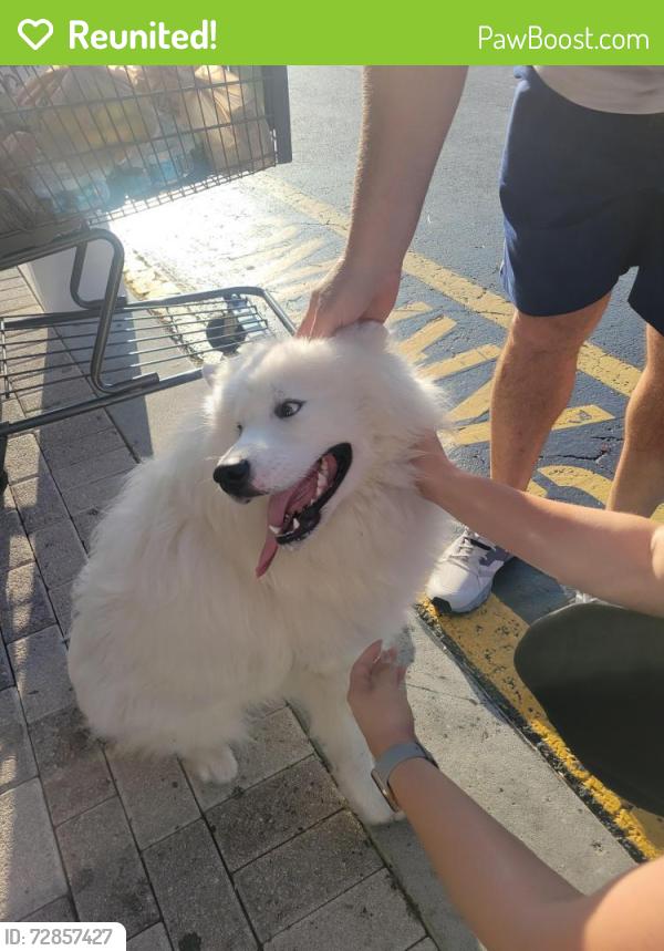 Reunited Unknown Dog last seen Near Ave and Coral Way, Olympia Heights, FL 33175