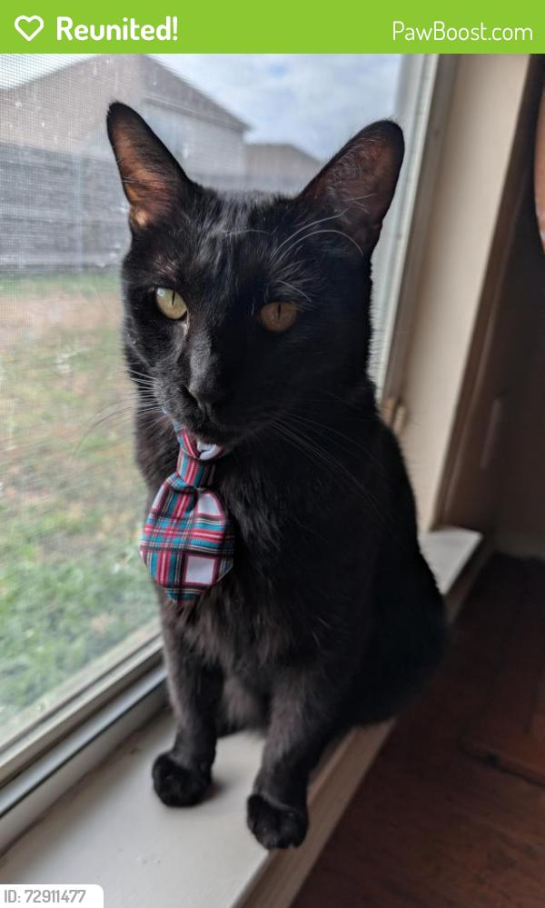 Reunited Male Cat last seen Anderson Blvd. and Sandy Blvd. Blake Meadows neighborhood., Fort Worth, TX 76120