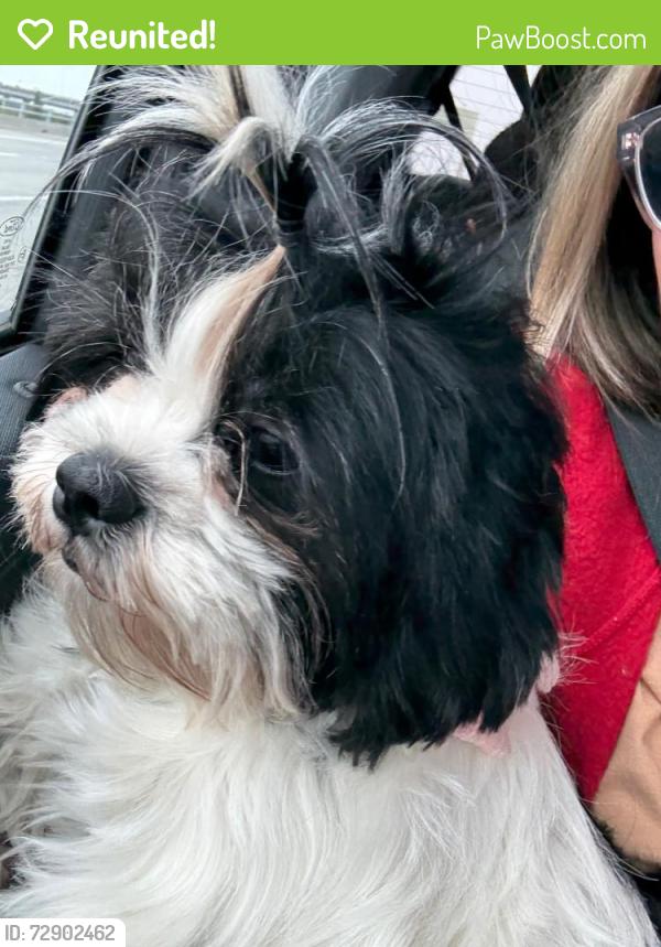 Reunited Female Dog last seen Jefferson, Modesto, CA 95351