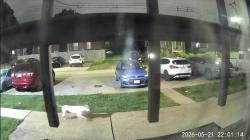 Found/Stray Unknown Dog last seen Near McRee Ave., St. Louis, MO 63110