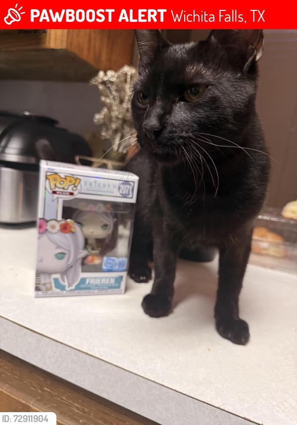 Lost Male Cat last seen Seymour road , Wichita Falls, TX 76302