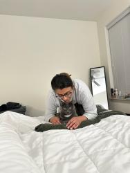 Reunited Male Cat last seen Ridgefield parkway and John Rolfe , Richmond, VA 23238
