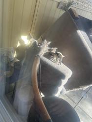 Found/Stray Unknown Cat last seen Kirby , Hemet, CA 92545