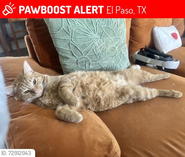 Lost Male Cat last seen Ventanas , El Paso, TX 79938
