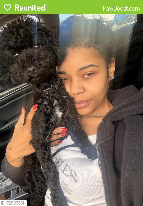 Reunited Female Dog last seen Near S Natrona Street , Philadelphia, PA 19145