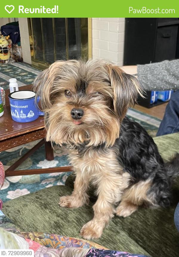 Reunited Male Dog last seen 13Th Ne and Wygant, Portland, OR 97211