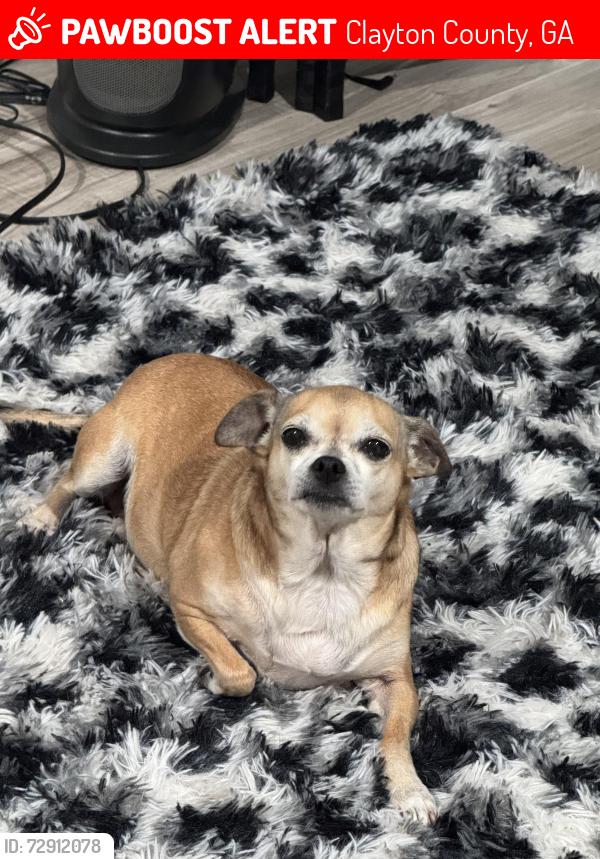Lost Female Dog last seen Echota way, Bethsaida Dr In Riverdale Ga , Clayton County, GA 30296