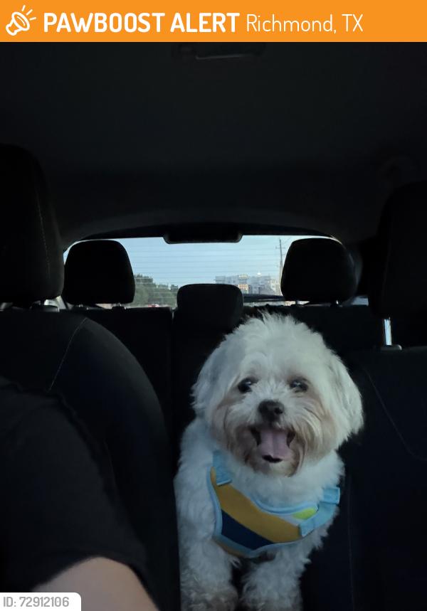 Found/Stray Male Dog last seen Westpark, Richmond, TX 77407