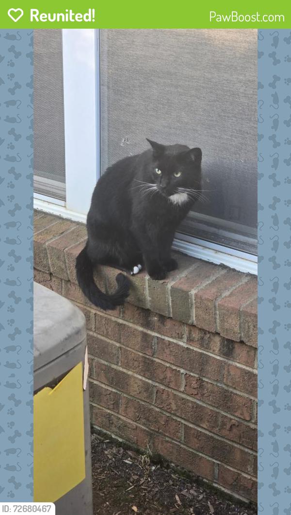 Reunited Male Cat last seen Mainstreet Square apmts, Holly Springs, NC 27540