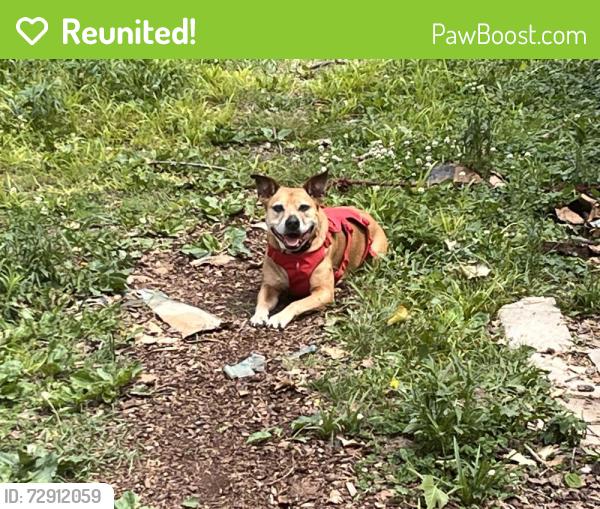 Reunited Male Dog last seen SE Mercier and Truman, Topeka, KS 66609