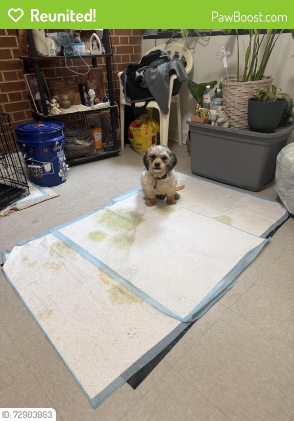 Reunited Male Dog last seen Marreene St, Durham, NC 27705
