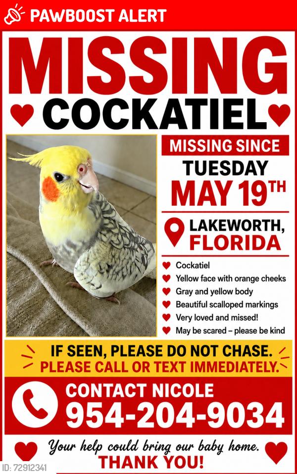 Lost Female Bird last seen Smith farm community , Palm Beach County, FL 33467