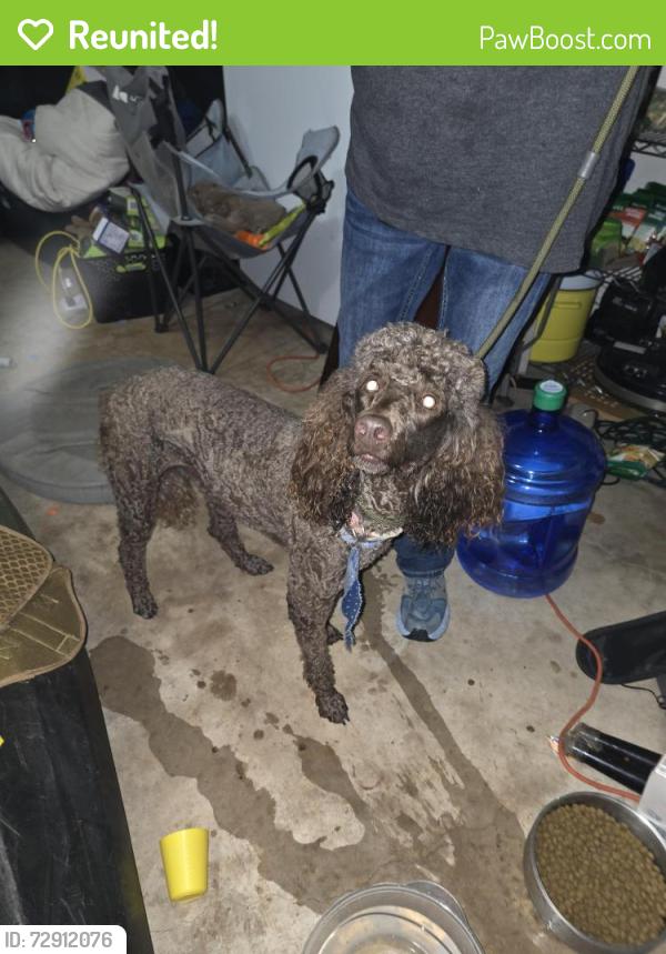 Reunited Female Dog last seen 164th/SantaFe  by crest, Edmond, OK 73013