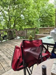 Found/Stray Unknown Bird last seen C hse apmts, Morrisville, PA 19067