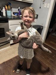 Reunited Male Cat last seen Stoneman and Sudan, Laurel, VA 23228