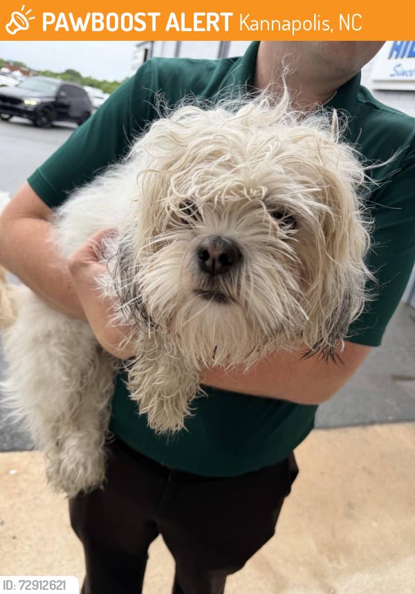 Found/Stray Male Dog last seen Hilbish Ford   2600 s Cannon Blvd Kannapolis, NC, Kannapolis, NC 28083