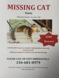 Reunited Male Cat last seen Near Mosley road/ northern shores lane , Greensboro, NC 27455