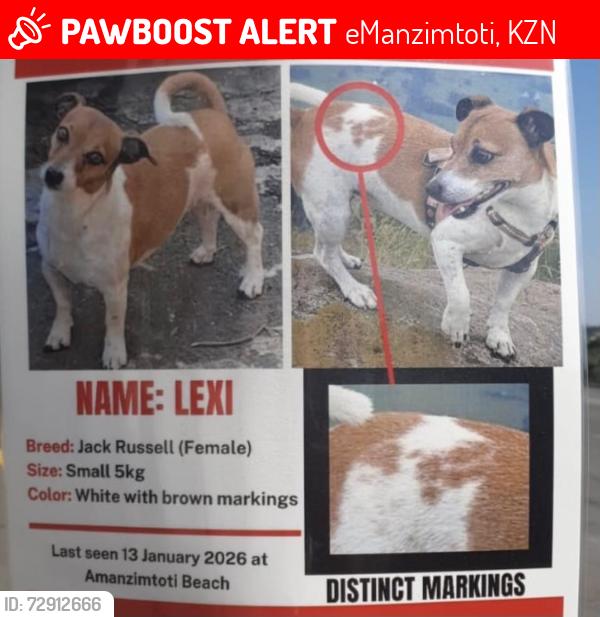 Lost Female Dog last seen Beach, eManzimtoti, KZN 4126
