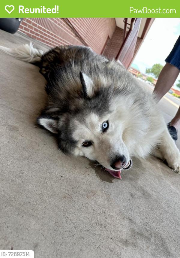 Reunited Male Dog last seen Near N Bryant Ave, Edmond, OK 73034, USA, Edmond, OK 73034