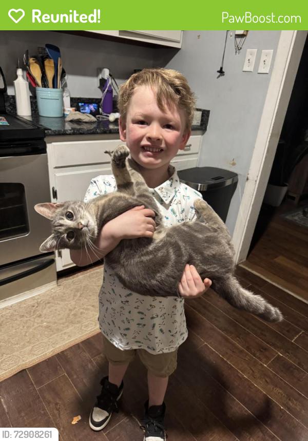 Reunited Male Cat last seen Stoneman and Sudan, Laurel, VA 23228