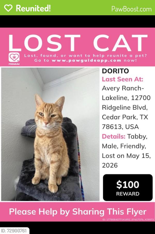 Reunited Male Cat last seen Lakeline Mall , Cedar Park, TX 78613
